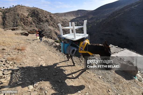 Survivors use a donkey to transport a table in the village of Sidi hassine on September 17 following the powerful 6.8-magnitude earthquake. Over a...