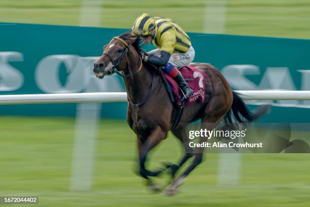 David Egan riding Eldar Eldarov win The Comer Group International Irish St. Leger at Curragh Racecourse on September 10, 2023 in Kildare, Ireland.