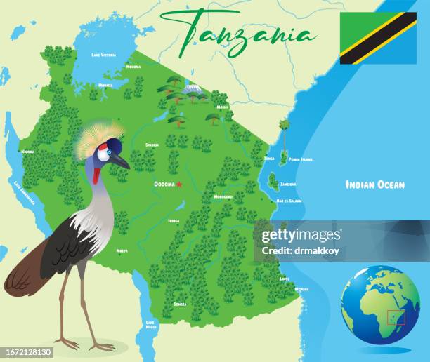 stockillustraties, clipart, cartoons en iconen met tanzania map and grey crowned crane - kilimanjaro