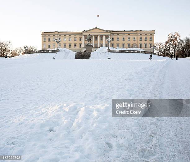 royal palace in oslo. - königliches schloss stock-fotos und bilder