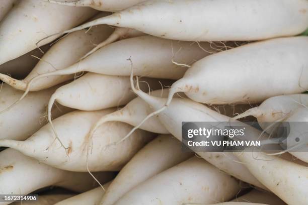 white radish root vegetables for sale at marketplace - daikon stock pictures, royalty-free photos & images
