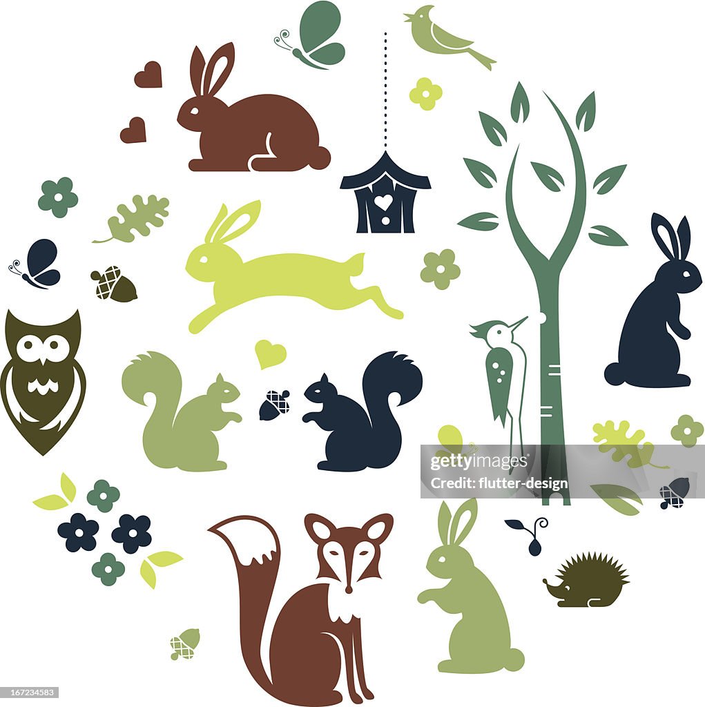Forest Animals