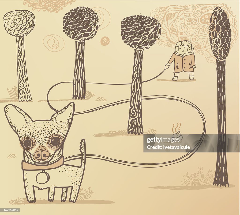 Dog walker in the park