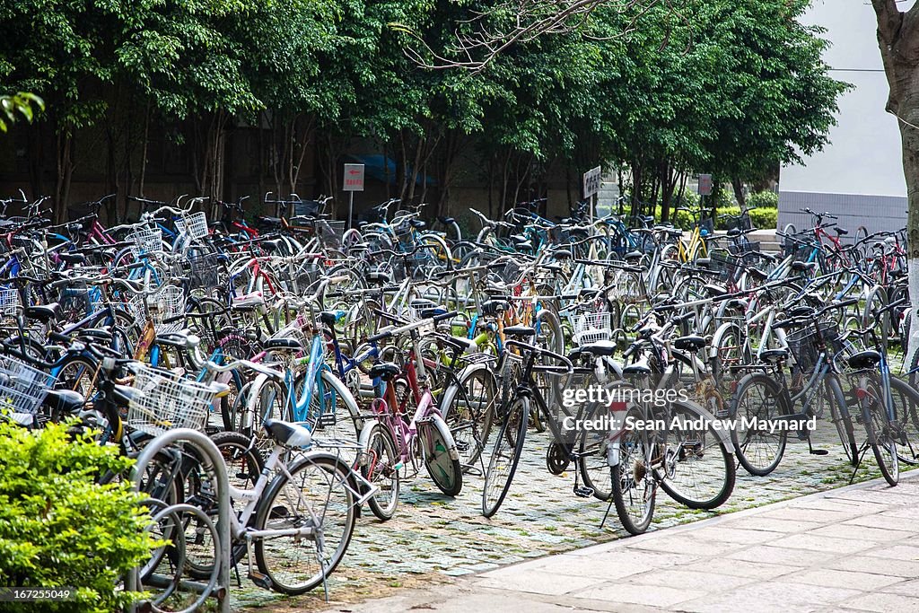 Bicycles at Xiamen University