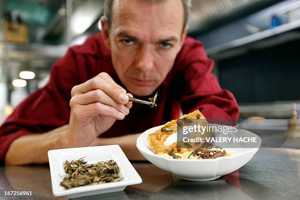 French Michelin-starred Chef David Faure holds a cricket as he poses in front of a dish "Cremeux de mais, foie gras poele" in the kitchen of his...