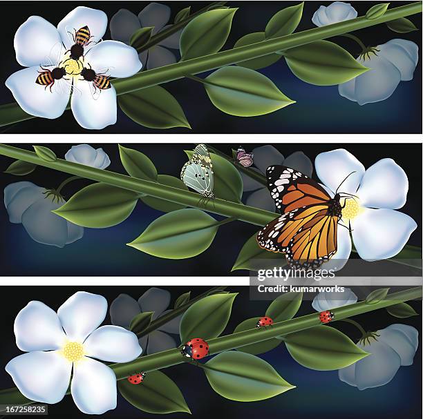 flower banner - bee pattern stock illustrations