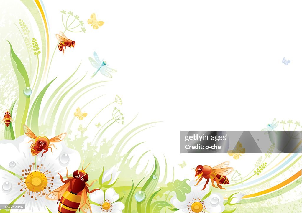 Borboleta fundo com copyspace: Abelhas e rosas selvagens
