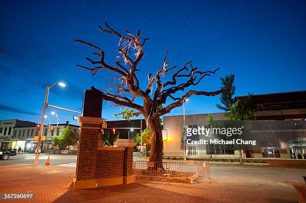 The sun rises the morning that the live oak trees will be cut down by crews from the Asplundh tree service on April 23, 2013 at Toomer's Corner in...