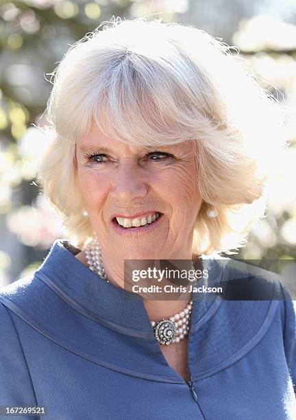 Camilla, Duchess of Cornwall drinks a cup of tea in Clarence House garden as she hosts a tea party to celebrate the 5th Anniversary of the charity...