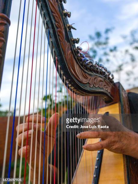 hands of man playing harp - arpa fotografías e imágenes de stock