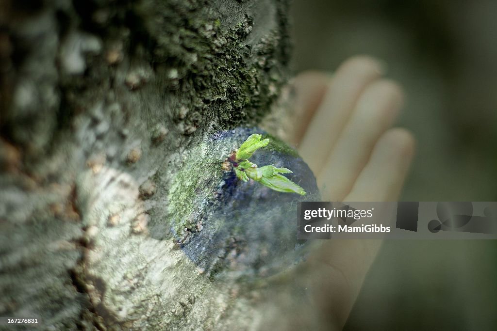 Art image of power of earth