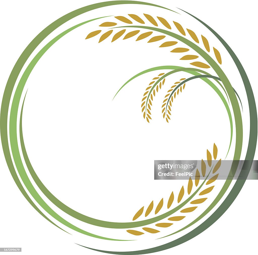 Welcome Rice Design Rice Design High-Res Vector Graphic - Getty Images