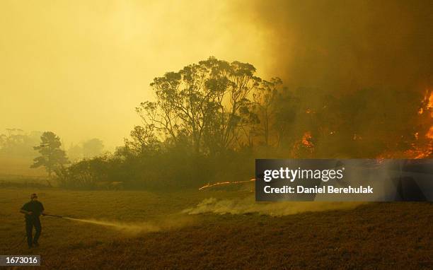 File photo shows a local resident battling a blaze at Glenorie on December 5, 2002 in the northwestern suburbs of Sydney, Australia. An Australian...