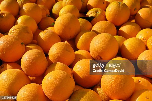 おへその位置でケージオレンジの発送 - ネーブルオレンジ ストックフォトと画像