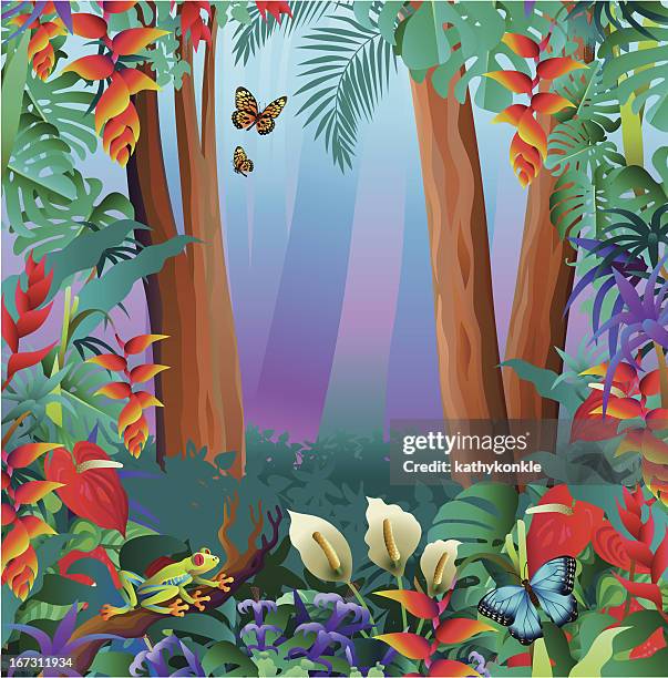 tree frog and butterflies in the rainforest - anthurium stock illustrations