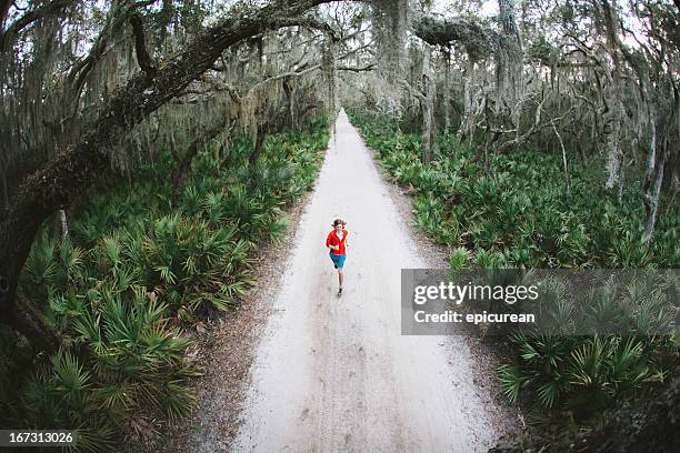 solitary männer läuft unter bäumen auf straße bei sonnenuntergang - insel cumberland island stock-fotos und bilder