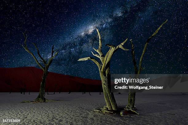 deadvlei e la via lattea - acacia erioloba foto e immagini stock