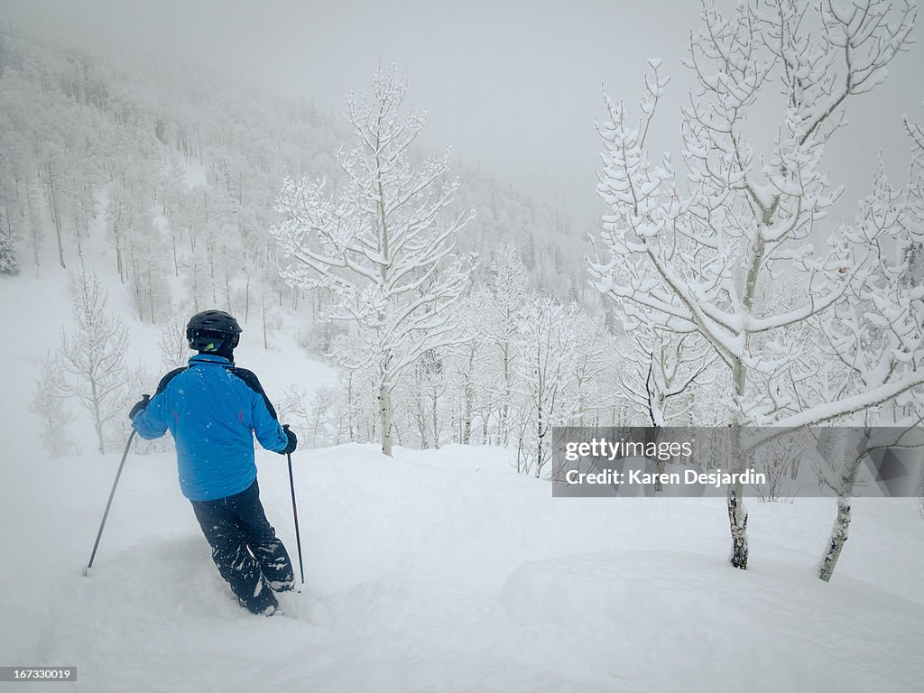 Alpine skier in fresh powder snow