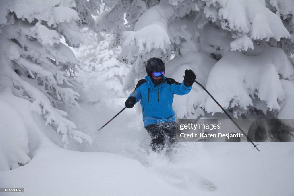 Alpine skier in untracked, fresh, powder snow
