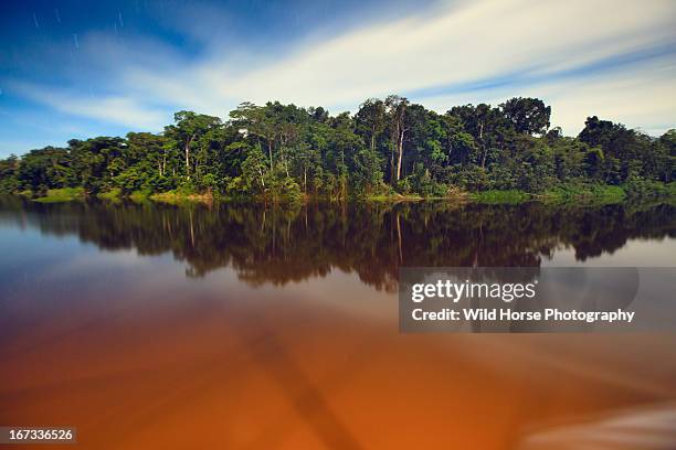 amazon river of night - amazon river stockfoto's en -beelden