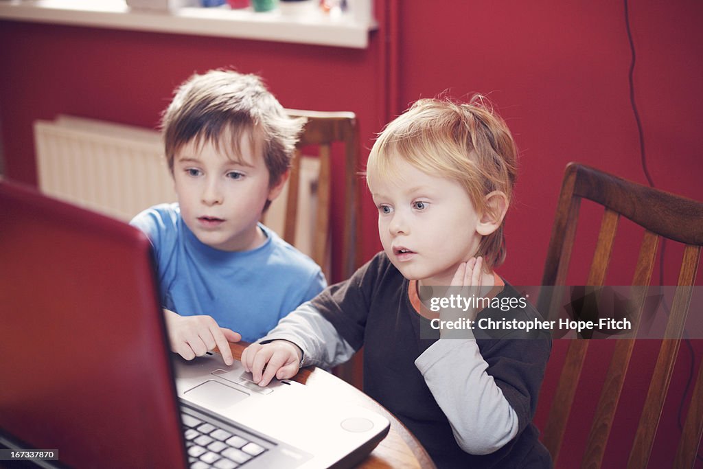 Brothers at a computer