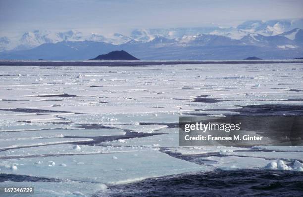 Sheets of ice lay on top of the sea en route from McMurdo to Cape Royds, Antarctica, February 2000