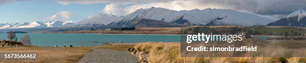 winter at the church of the good shepherd, lake tekapo, new zealand - simonbradfield stock pictures, royalty-free photos & images