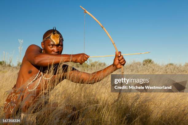 bushman of kalahari desert, africa. - san stockfoto's en -beelden