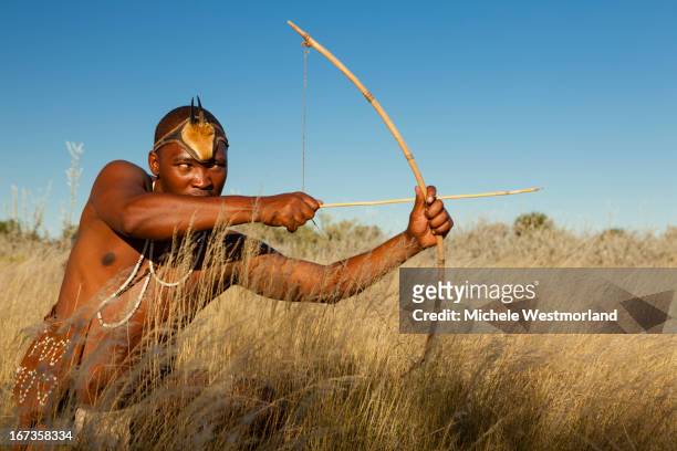 bushman of kalahari desert, africa. - kalahari desert 個照片及圖片檔