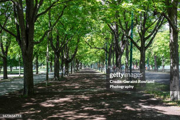 prater park, vienna - prater park stock pictures, royalty-free photos & images