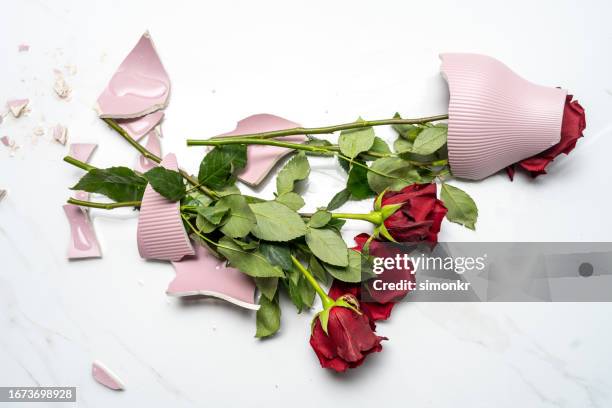 flowers falling on ground - vas bildbanksfoton och bilder