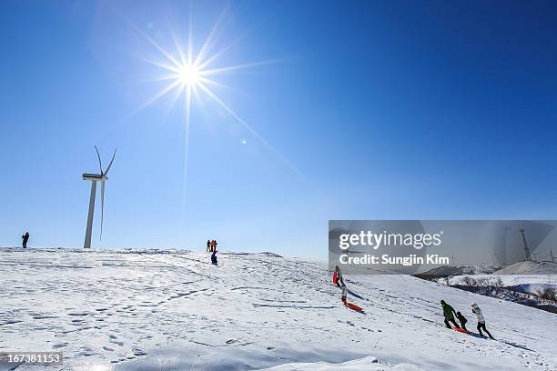 slide over the snow in a sleigh - pyeongchang stock pictures, royalty-free photos & images