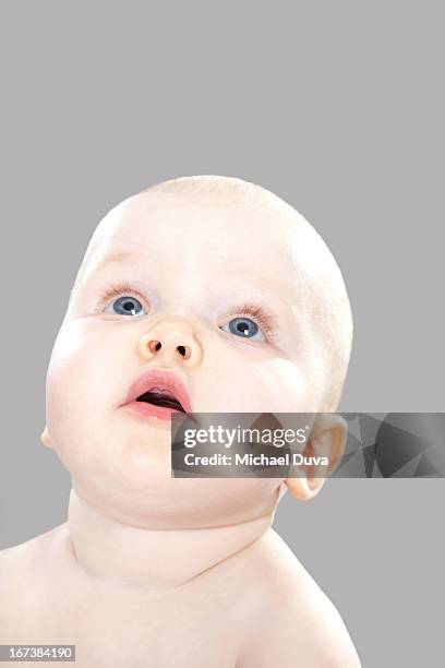studio shot of a baby looking on gray background - michael virtue stock pictures, royalty-free photos & images