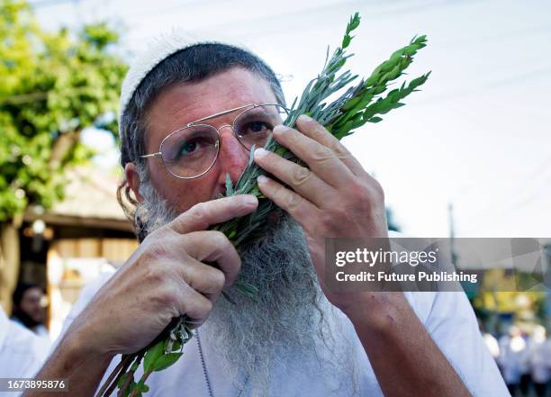 Hasidic pilgrim smells green branches during the celebration of Rosh Hashanah, the Jewish New Year, Uman, Cherkasy Region, central Ukraine.