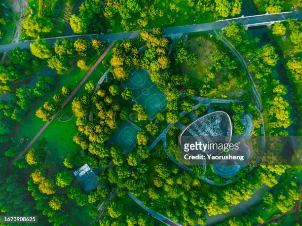 aerial view of basketball court  in urban park,surrounded by trees - grüner gürtel sport stock-fotos und bilder