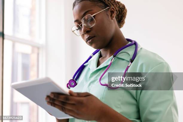 centrarse en la tarea en cuestión - pendiente de la nariz fotografías e imágenes de stock