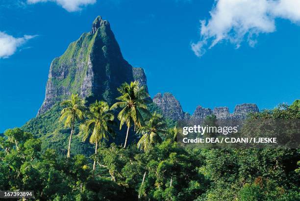 Moua Roa Moua Photos and Premium High Res Pictures - Getty Images