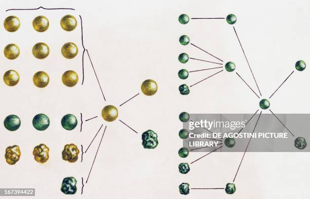 Sle Inheritance Pattern Inheritance Genes Photos and Premium High Res Pictures - Getty Images