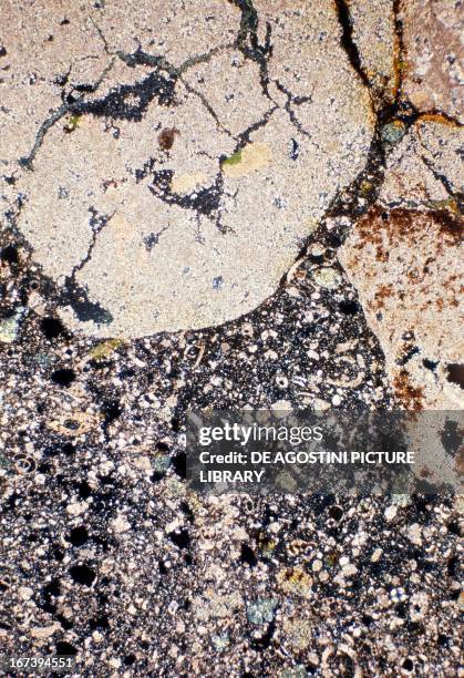Rock Micrograph 52 Micrograph Rock Stock Photos, High-Res Pictures, and Images - Getty ...