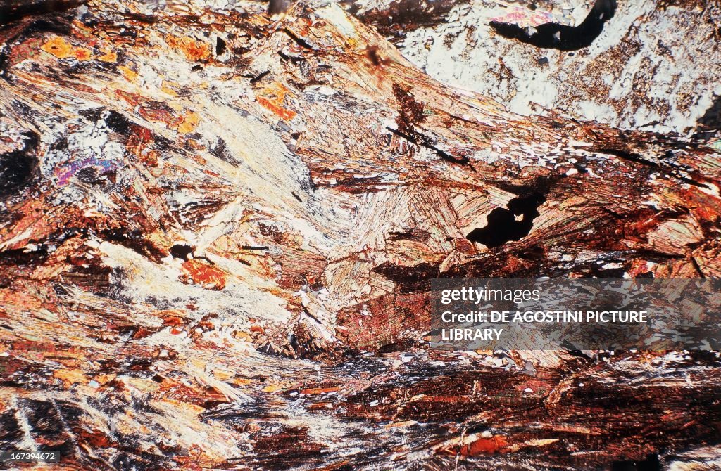 Sillimanitic Gneiss, metamorphic rock, section