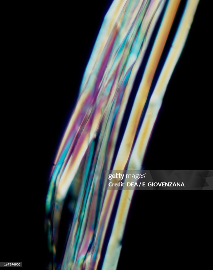 Silk Threads Microscope Silk textile fiber viewed under a microscope. News Photo - Getty Images