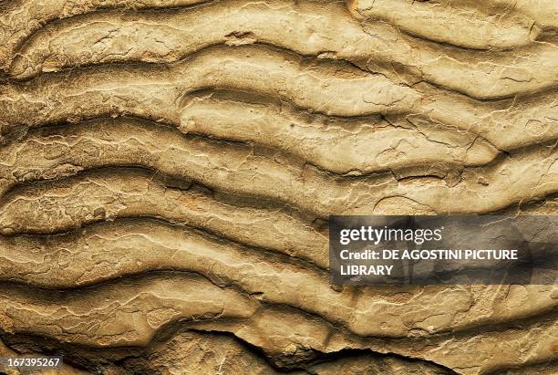 Subaqueous Ripple Water Ripple Texture Photos and Premium High Res Pictures - Getty Images