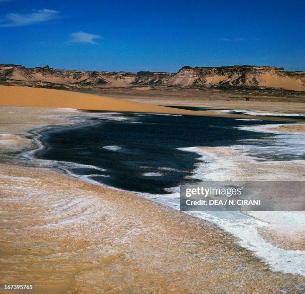 Salt spring, oasis of Bilma, in the background the Bilma cliffs, Niger.