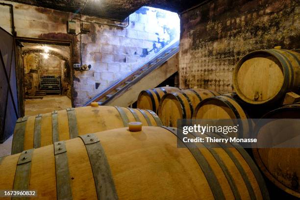 Casks with wine are stored in the cellar at Champagne Henri Lemaire in the AOC Champagne region on September 15, 2023 in Damery, Marne, France. The...