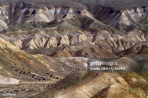 Avdat Map 84 Ein Avdat Canyon Stock Photos, High-Res Pictures, and Images - Getty ...