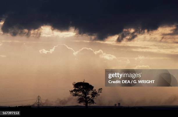 Dark clouds over the Sherwood Forest, Nottinghamshire, England, United Kingdom.