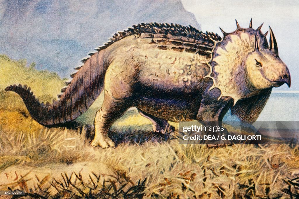 Triceratops, antediluvian animals, Prehistory