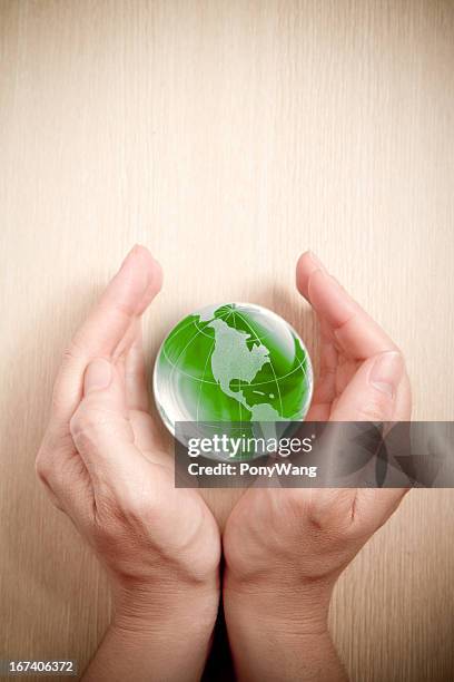 green glass globe in hand - wooden shield stock pictures, royalty-free photos & images