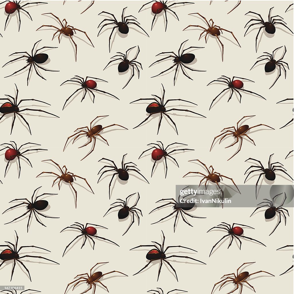 Spiders seamless pattern