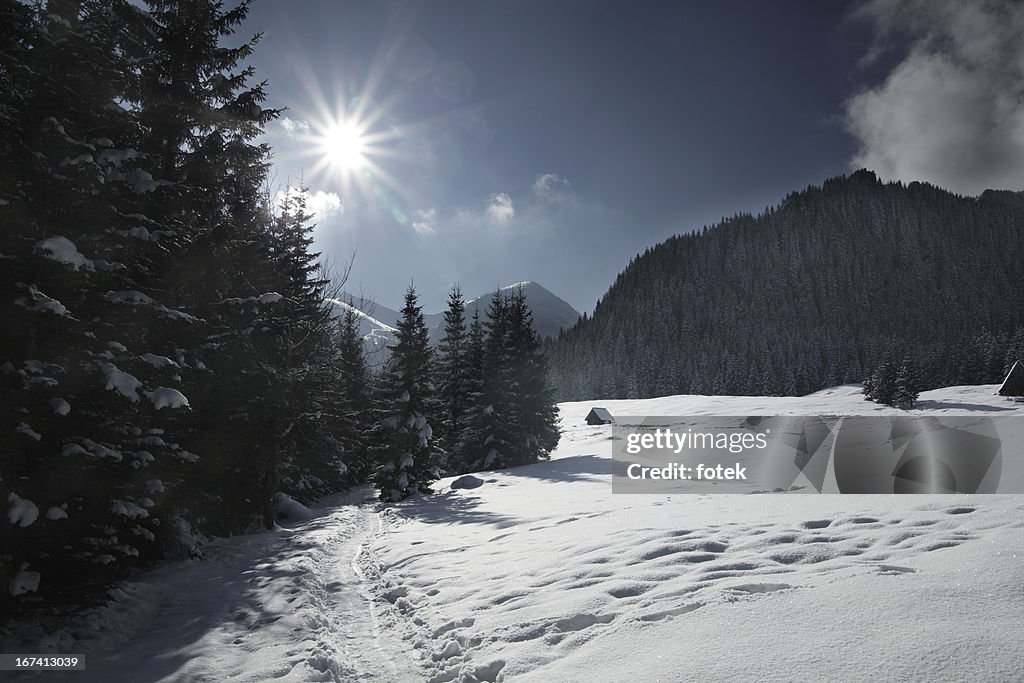 Mountain track